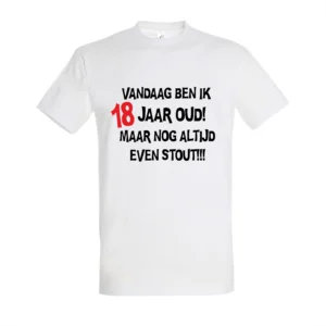 Alternative view of T-shirt Vandaag ben ik 18 jaar oud maar nog altijd even stout!