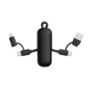 Urban Vitamin Dublin 100W 4 -in-1 keychain cable