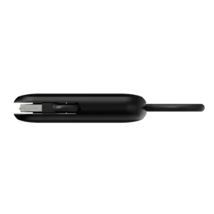 Urban Vitamin Dublin 100W 4 -in-1 keychain cable