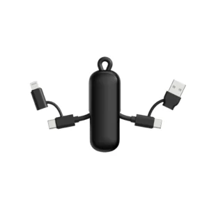 Urban Vitamin Dublin 100W 4 -in-1 keychain cable zwart