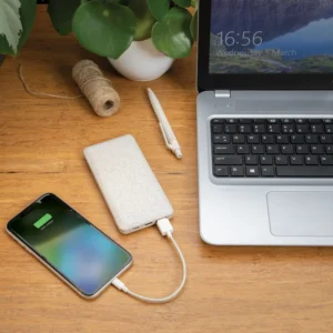 Powerbank 10.000 mAh tarwevezel