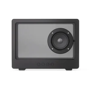 Soundclear transparante 5W draadloze speaker zwart