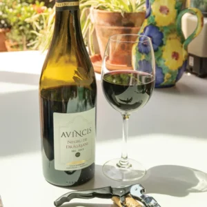 Vino sommelier kurkentrekker